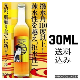 スパシャン2019 【30ml】(メンテナンス用品)