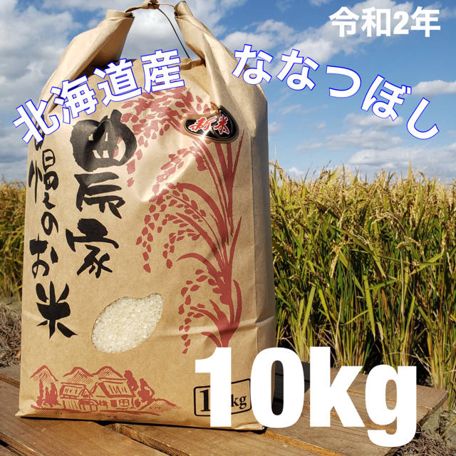 北海道　令和2年度産　最高品質一等　ななつぼし　10キロ