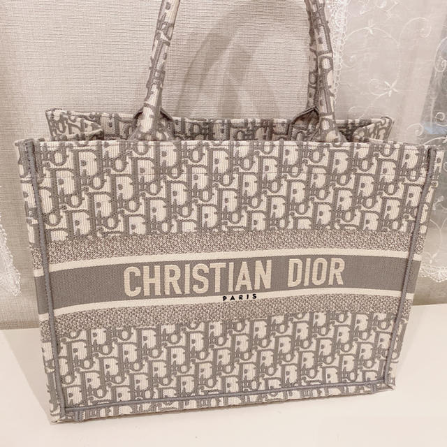 Christian Dior - 希少 ディオール ブックトート スモール グレーの