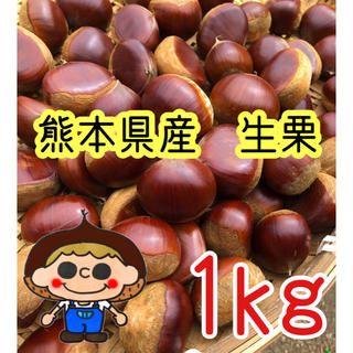 熊本県産　無農薬　生栗　1kg(野菜)