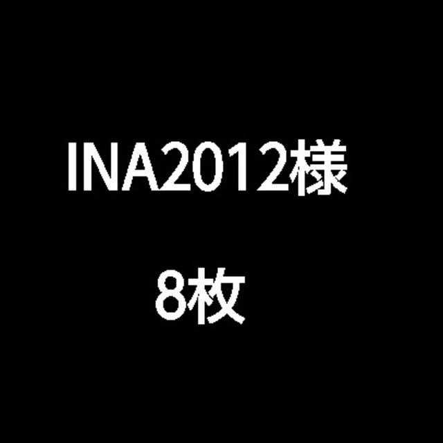 INA2012 30枚