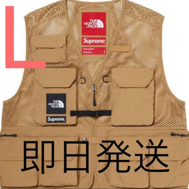 Supreme × THE NORTH FACE Cargo Vest