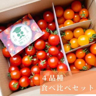 ミニトマト【農学博士のDr.トマト4種 1Kg】☘️〜青森津軽産〜(野菜)