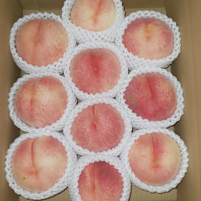 希少品種！桃水10玉