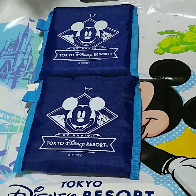 Disney(ディズニー)のディズニー  エコバッグ  ２セット レディースのバッグ(エコバッグ)の商品写真