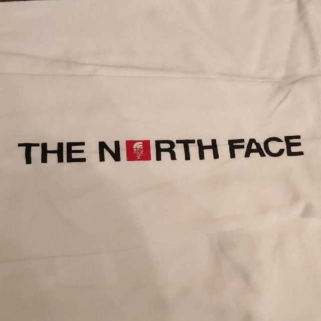 THE NORTH FACE(ザノースフェイス)のノースフェイス マウンテンプリントロンT 海外Mサイズ メンズのトップス(Tシャツ/カットソー(七分/長袖))の商品写真