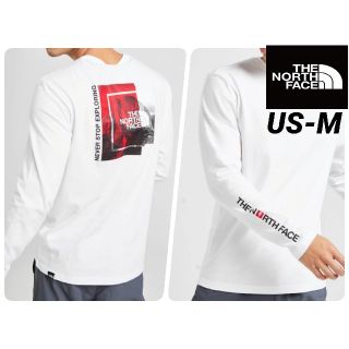 ザノースフェイス(THE NORTH FACE)のノースフェイス マウンテンプリントロンT 海外Mサイズ(Tシャツ/カットソー(七分/長袖))