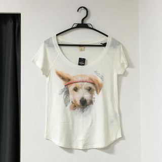 ホリスター(Hollister)の【新品】HOLLISTER Tシャツ(Tシャツ(半袖/袖なし))