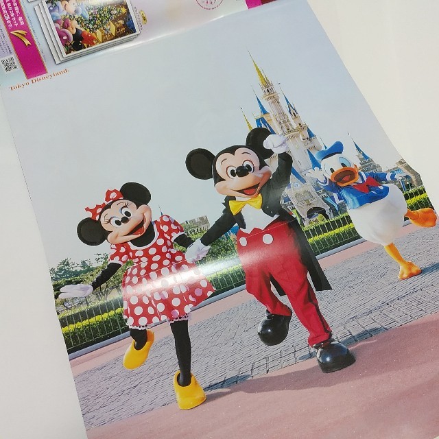 Disney(ディズニー)の雑誌ディズニーファン（2015年2月号） エンタメ/ホビーの雑誌(アート/エンタメ/ホビー)の商品写真