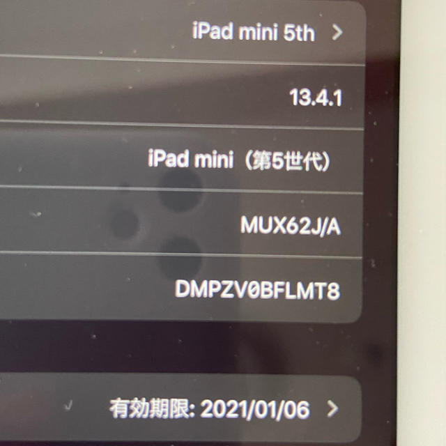 【値下】ipad mini5 simフリー プラス料金でオプションあり