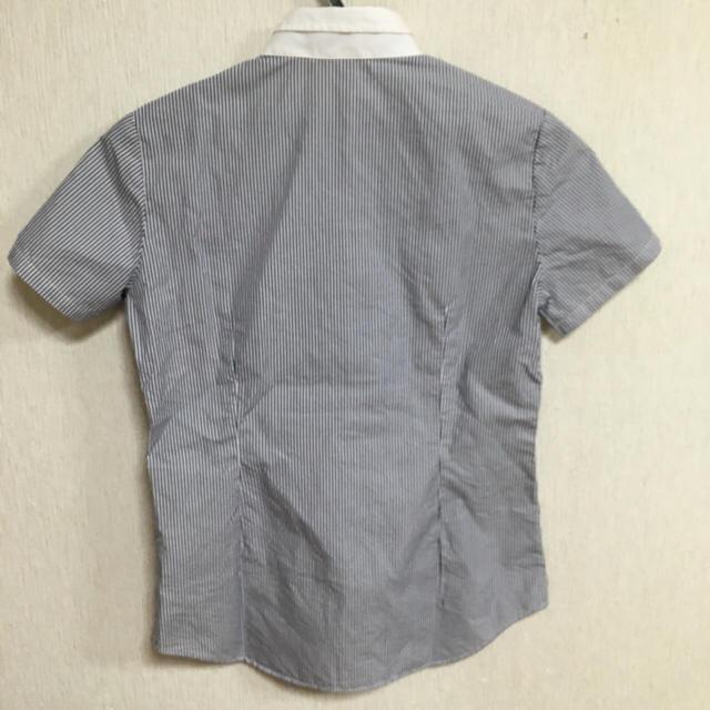 THE SUIT COMPANY(スーツカンパニー)の専用 レディースのトップス(シャツ/ブラウス(半袖/袖なし))の商品写真
