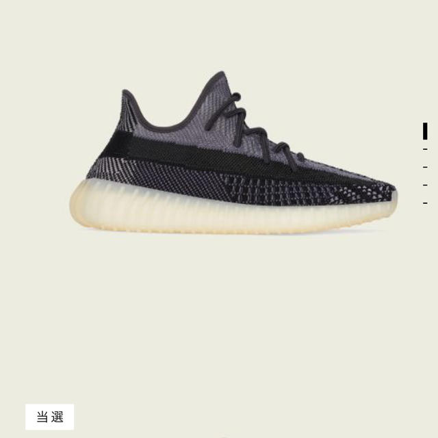 adidas(アディダス)のYEEZY BOOST 350 V2 ADULTS メンズの靴/シューズ(スニーカー)の商品写真