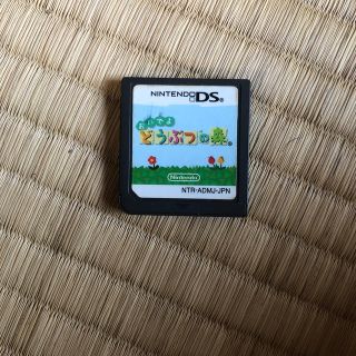 ニンテンドーDS(ニンテンドーDS)のDS  どうぶつの森(家庭用ゲームソフト)