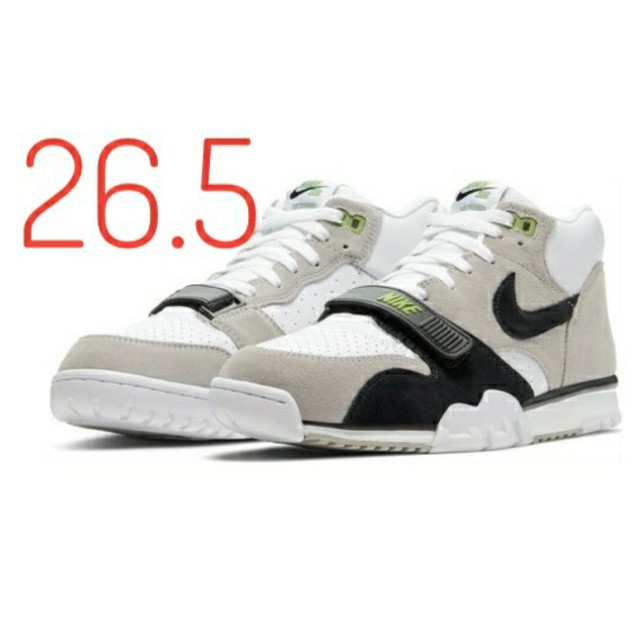 NIKE SB AIR TRAINER 1 ISO Chlorophy 26.5スニーカー