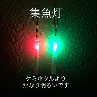 集魚灯 2本 LED 電ケミ 6本付き(その他)