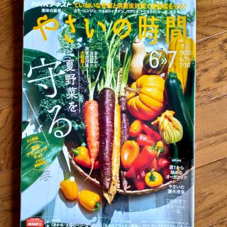 NHK 趣味の園芸 やさいの時間 2020年 06月号(専門誌)