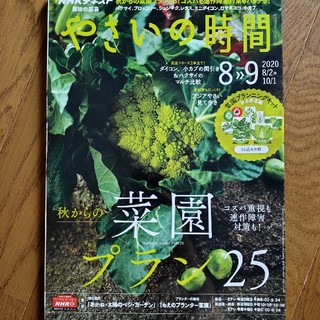 NHK 趣味の園芸 やさいの時間 2020年 08月号(専門誌)