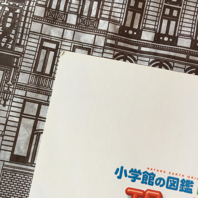 マクドナルド(マクドナルド)の専用/ハッピーセット/ずかん2冊 エンタメ/ホビーの本(絵本/児童書)の商品写真