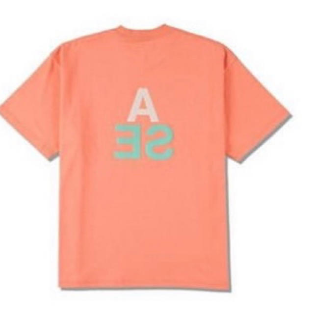 WIND AND SEA TRIANGLE T-SHIRT (PINK) L