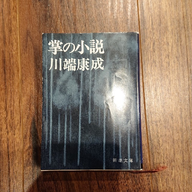 掌の小説 改版の通販 By こらりる S Shop ラクマ