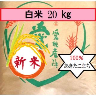 お米　令和2年　愛媛県産あきたこまち　白米　20㎏(米/穀物)