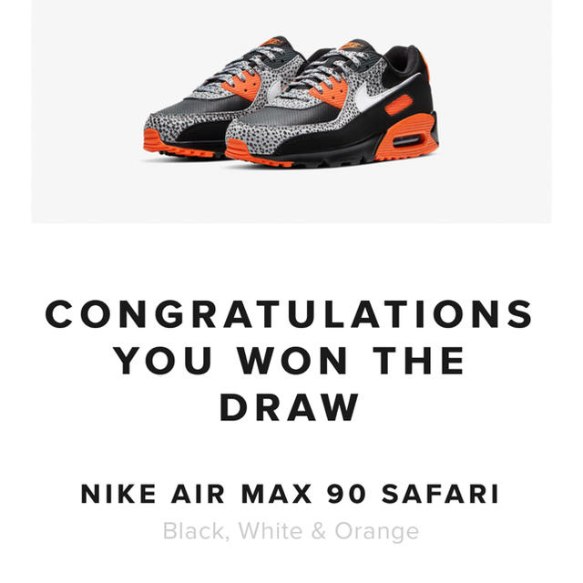 エアマックス90 サファリ　Air Max90 Safari 早い者勝ちです！