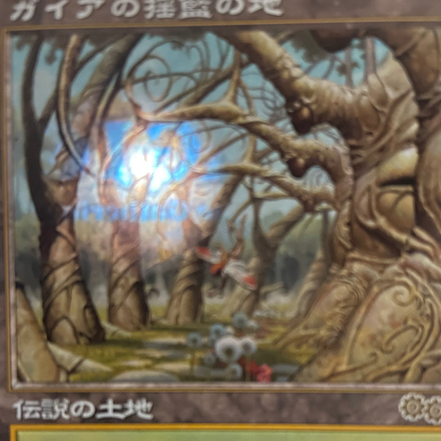 MTG ガイアの揺籃の地 日本語版 | hartwellspremium.com