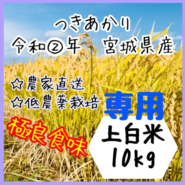 ☆専用品【農家直送】宮城県産つきあかり　上白米5kg×2袋【送料無料】新米☆