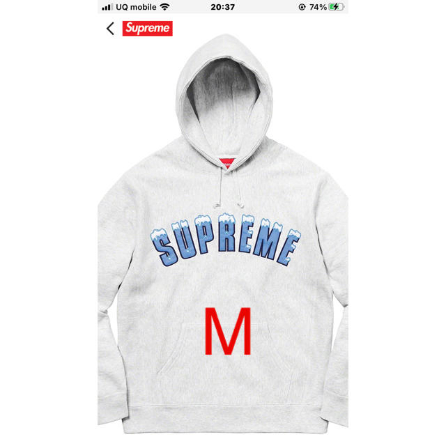 Supreme Icy Arc Hooded Sweatshirt 20FW