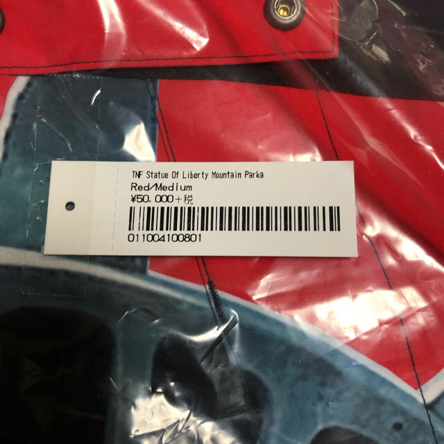 Supreme The North Face Statue of Liberty 2