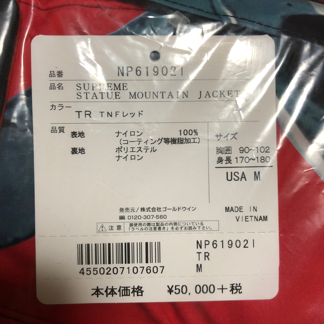 Supreme The North Face Statue of Liberty 3