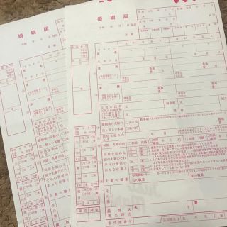 ゼクシィ　ピンクの婚姻届　2枚(結婚/出産/子育て)