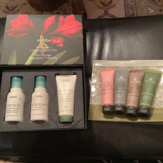 AVEDA - アベダ アメニティ アルゴテルム ボディ ケア トラベルセット