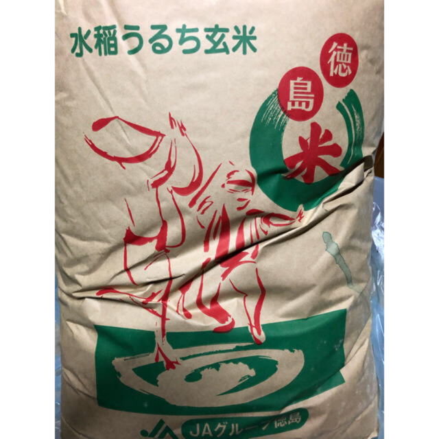 お米コシヒカリ10キロ　お値下げしました　残り1点 食品/飲料/酒の食品(米/穀物)の商品写真