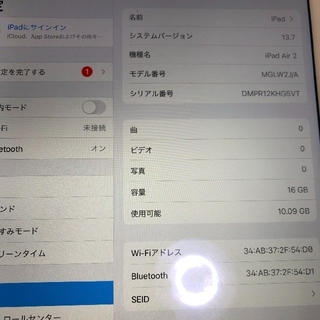 アイパッド(iPad)のiPad Air2(その他)