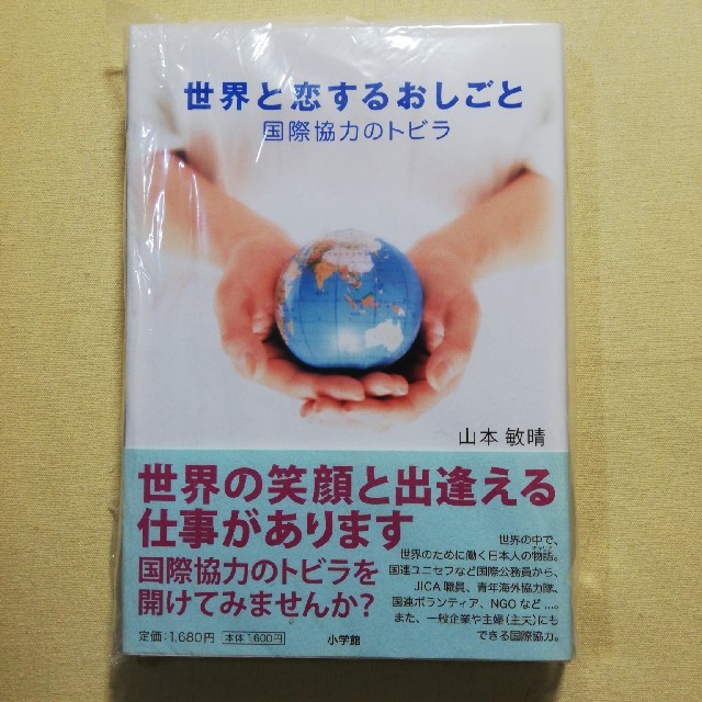 世界と恋するおしごと 国際協力のトビラ（棚1） エンタメ/ホビーの本(ビジネス/経済)の商品写真