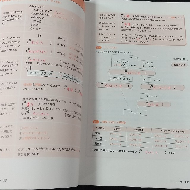 自分で作る生化学ワ－クノ－ト 書いて覚える エンタメ/ホビーの本(健康/医学)の商品写真