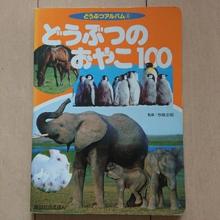 コウダンシャ(講談社)のどうぶつのおやこ100 写真 絵本 図鑑(絵本/児童書)