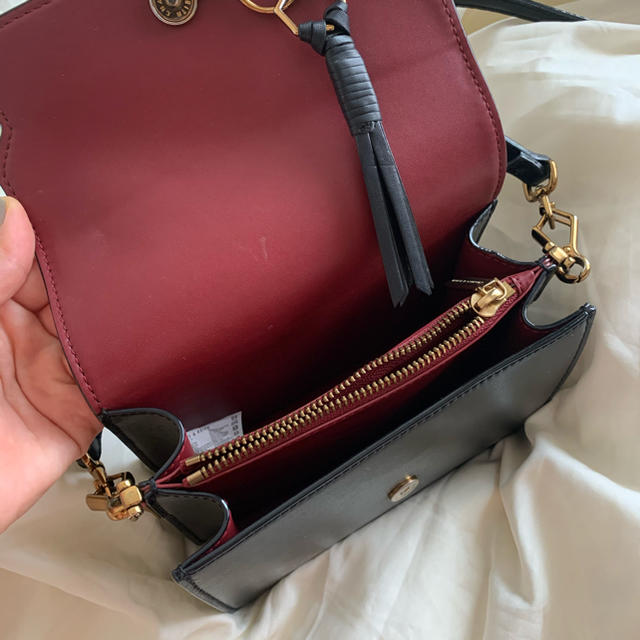 Charles and Keith(チャールズアンドキース)のCHARLES & KEITH バッグ レディースのバッグ(ショルダーバッグ)の商品写真