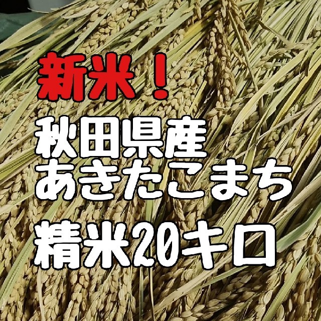 新米秋田県産あきたこまち精米20キロ食品