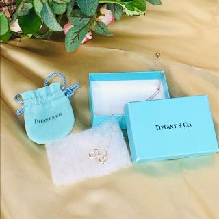 ティファニー(Tiffany & Co.)の⭐️Tiffany ティファニー　ハートエターナルネックレス　50cm⭐️(ネックレス)