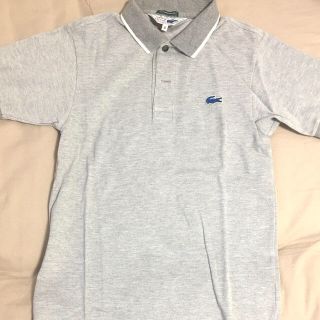 ラコステ(LACOSTE)のLACOSTE ポロシャツ レディース(ポロシャツ)