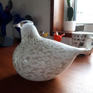 イッタラ(iittala)のイッタラバード　雷鳥(置物)