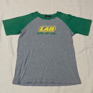 ラブラドールリトリーバー(Labrador Retriever)のLabrador Retriever Tシャツ　サイズS(Tシャツ(半袖/袖なし))