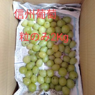 信州葡萄　黄甘　巨峰　ピオーネ　粒売り　2kg(フルーツ)