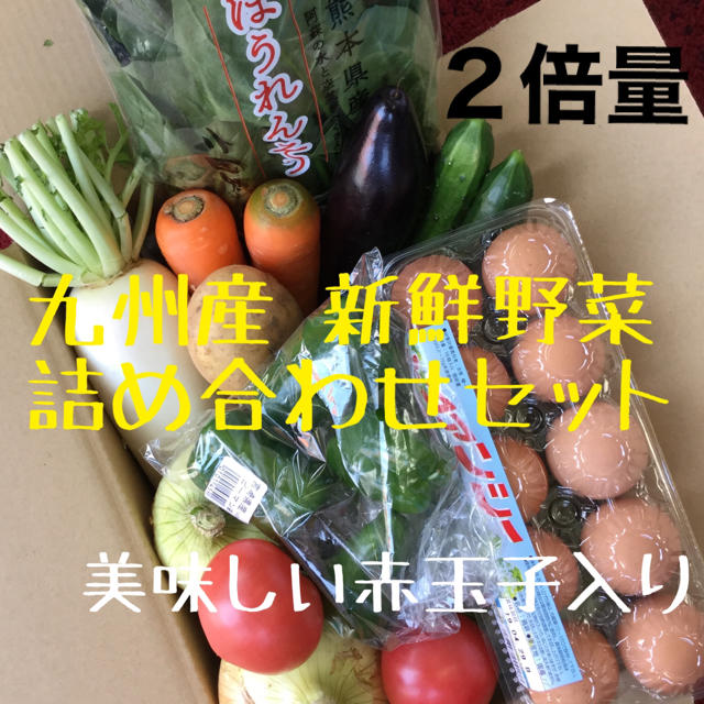 九州産　新鮮野菜　詰め合わせセット　2倍量　赤玉子入り 食品/飲料/酒の食品(野菜)の商品写真