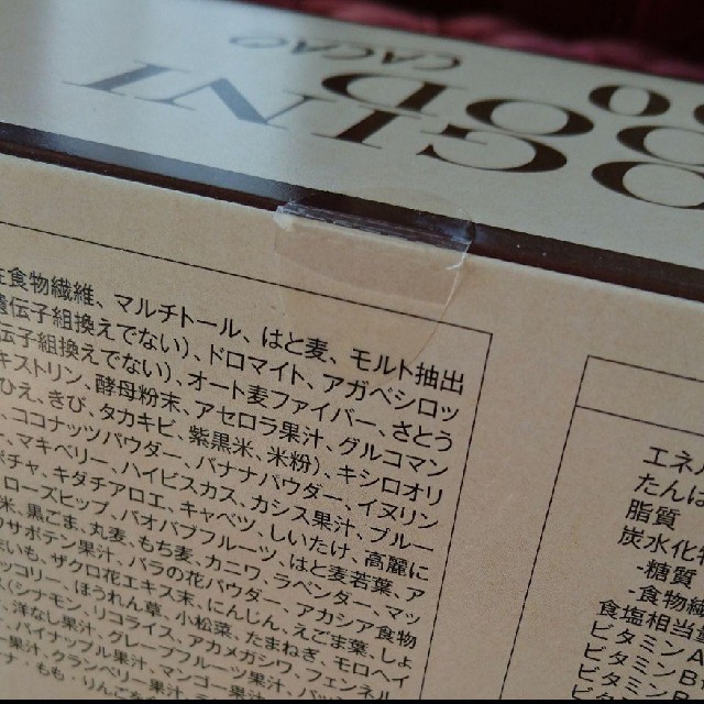 ☆LAVAヨギーニフード100 カカオ味☆ ☆LAVAヨギーニフード100 カカオ味☆
