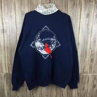 ヘインズ(Hanes)のヨーロッパ輸入古着　謎の鳥刺繍　夜の雪山　ネック付き　トレーナー(スウェット)