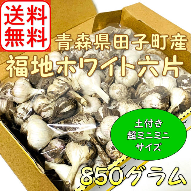 ★超ミニミニサイズ★ 2020年産　青森県田子町産にんにく 850g前後  食品/飲料/酒の食品(野菜)の商品写真