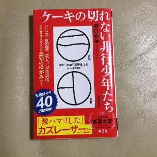 ケーキの切れない非行少年たち(文学/小説)